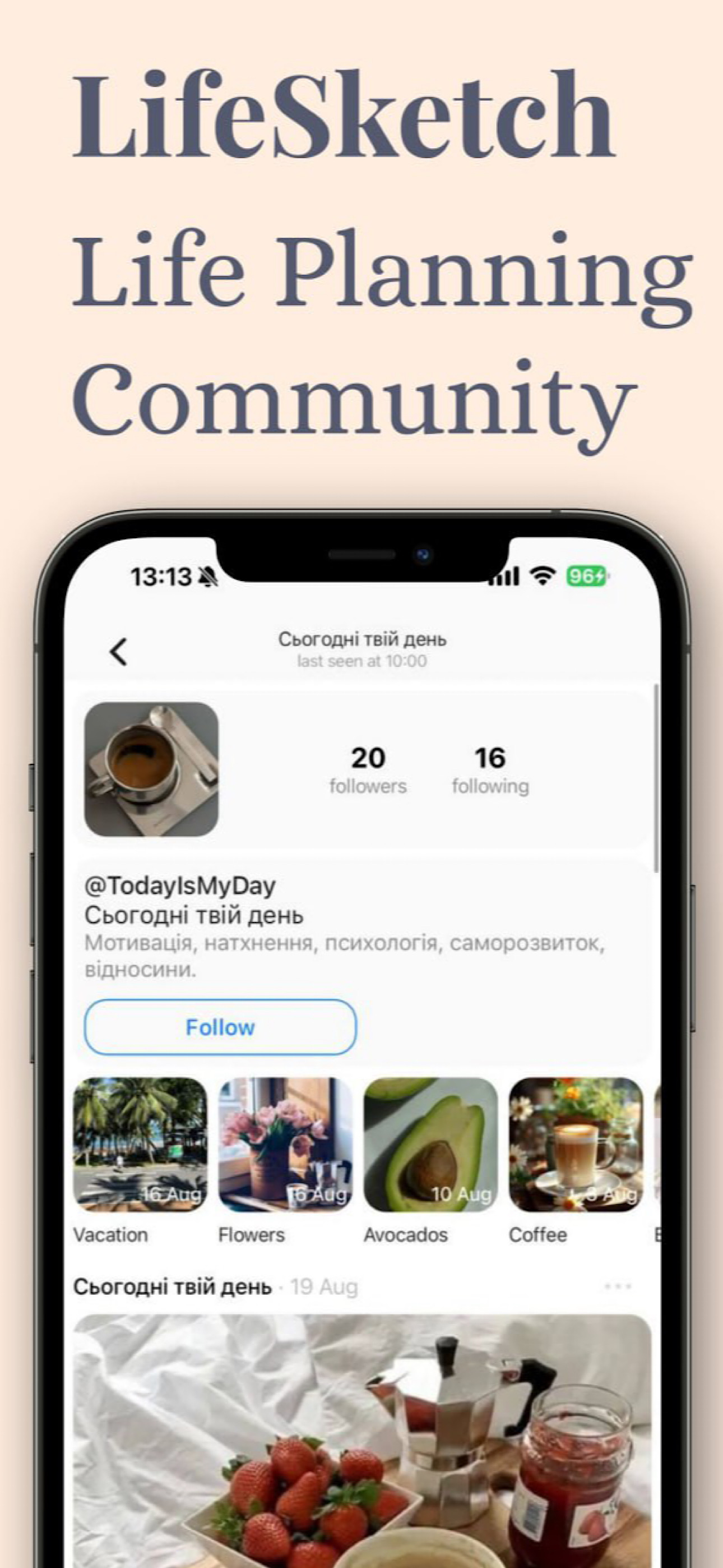 LifeSketch: Life Planning Community